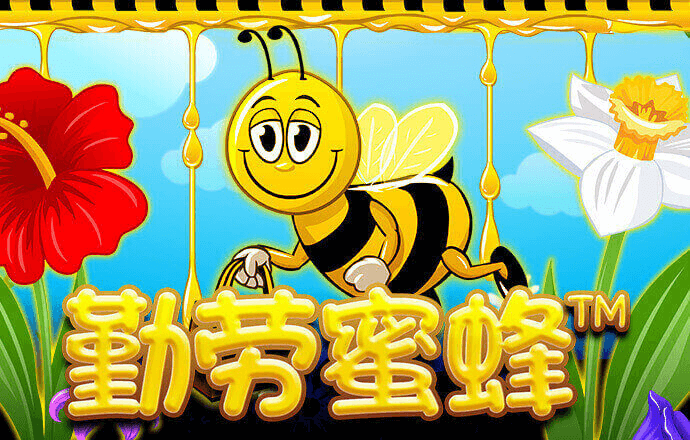 澳门跑狗图网站